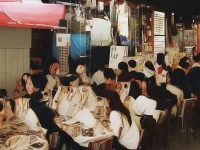 夢想世界手游坐騎如何馳騁？解鎖飛行奇緣等你來探索！