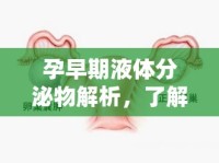孕早期液體分泌物解析，了解、應(yīng)對與安心指南