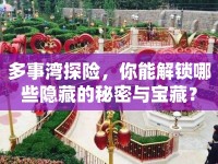 多事灣探險(xiǎn)，你能解鎖哪些隱藏的秘密與寶藏？