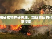 揭秘衣物神秘黑油，燃燒背后的科學(xué)探索