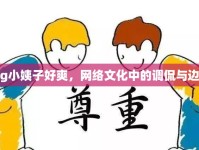 我g小姨子好爽，網(wǎng)絡(luò)文化中的調(diào)侃與邊界