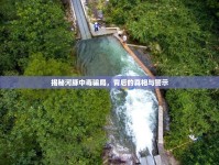 揭秘河豚中毒騙局，背后的真相與警示