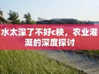 水太深了不好c秧，農(nóng)業(yè)灌溉的深度探討