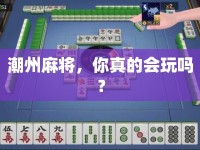 潮州麻將，你真的會玩嗎？