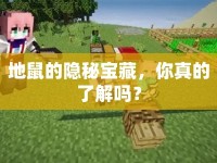 地鼠的隱秘寶藏，你真的了解嗎？