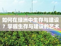 如何在綠洲中生存與建設(shè)？掌握生存與建設(shè)的藝術(shù)！