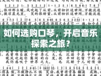 如何選購口琴，開啟音樂探索之旅？