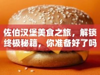 佐伯漢堡美食之旅，解鎖終極秘籍，你準(zhǔn)備好了嗎？