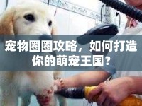 寵物圈圈攻略，如何打造你的萌寵王國？
