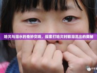 哈欠與淚水的奇妙交響，探索打哈欠時(shí)眼淚流出的奧秘