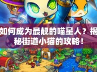 如何成為最靚的喵星人？揭秘街道小貓的攻略！