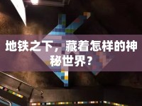 地鐵之下，藏著怎樣的神秘世界？