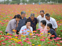 五月花成人，網(wǎng)絡(luò)討論中的成長與反思