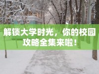 解鎖大學(xué)時光，你的校園攻略全集來啦！
