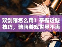 雙劍鞘怎么用？掌握這些技巧，馳騁游戲世界不再是夢(mèng)！