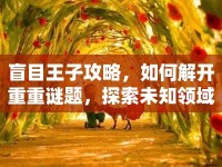 盲目王子攻略，如何解開重重謎題，探索未知領(lǐng)域？