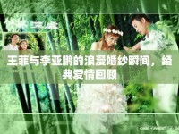 王菲與李亞鵬的浪漫婚紗瞬間，經(jīng)典愛情回顧