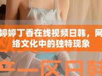 婷婷丁香在線視頻日韓，網(wǎng)絡(luò)文化中的獨(dú)特現(xiàn)象