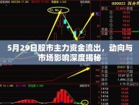 5月29日股市主力資金流出，動向與市場影響深度揭秘