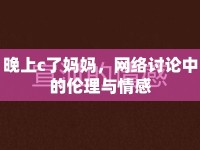 晚上c了媽媽，網(wǎng)絡(luò)討論中的倫理與情感