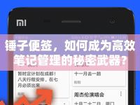 錘子便簽，如何成為高效筆記管理的秘密武器？