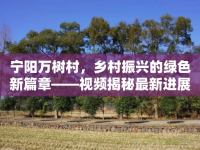 寧陽萬樹村，鄉(xiāng)村振興的綠色新篇章——視頻揭秘最新進展