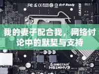 我的妻子配合我，網絡討論中的默契與支持
