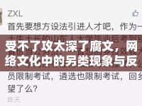 受不了攻太深了腐文，網(wǎng)絡(luò)文化中的另類(lèi)現(xiàn)象與反思
