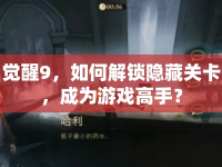 覺醒9，如何解鎖隱藏關(guān)卡，成為游戲高手？
