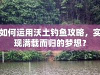 如何運用沃土釣魚攻略，實現(xiàn)滿載而歸的夢想？