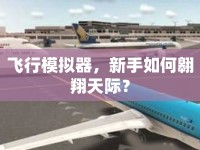 飛行模擬器，新手如何翱翔天際？