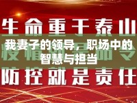 我妻子的領導，職場中的智慧與擔當