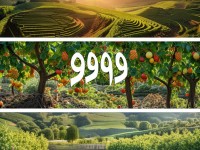 999精產(chǎn)國(guó)品一二三產(chǎn)區(qū)：你真的了解它們的獨(dú)特魅力嗎？
