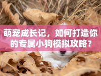 萌寵成長(zhǎng)記，如何打造你的專屬小狗模擬攻略？