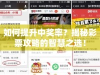 如何提升中獎(jiǎng)率？揭秘彩票攻略的智慧之選！