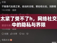太緊了受不了h，網(wǎng)絡(luò)社交中的隱私與界限