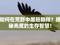 如何在荒野中展翅翱翔？揭秘禿鷹的生存智慧！