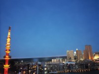 落英櫻如何用視覺盛宴詮釋江湖意境？