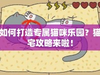 如何打造專(zhuān)屬貓咪樂(lè)園？貓宅攻略來(lái)啦！