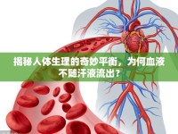 揭秘人體生理的奇妙平衡，為何血液不隨汗液流出？