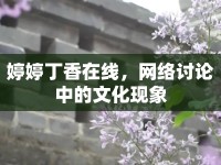 婷婷丁香在線，網(wǎng)絡(luò)討論中的文化現(xiàn)象