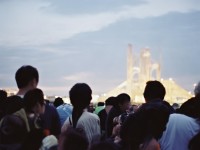 問道手游，小鳥強化真的有那么容易嗎？攻略解析揭秘！