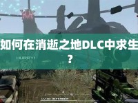 如何在消逝之地DLC中求生？
