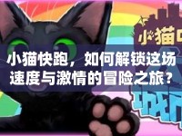 小貓快跑，如何解鎖這場(chǎng)速度與激情的冒險(xiǎn)之旅？