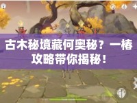 古木秘境藏何奧秘？一椿攻略帶你揭秘！