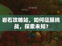 巖石攻略站，如何征服挑戰(zhàn)，探索未知？