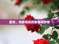 夏衣，光鮮背后的故事與夢(mèng)想