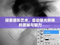 探索攝影藝術(shù)，自動曝光轉(zhuǎn)換的奧秘與魅力
