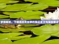 夢(mèng)境解析，下體流出青蛙卵的象征意義與深層解讀