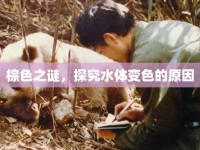 棕色之謎，探究水體變色的原因
